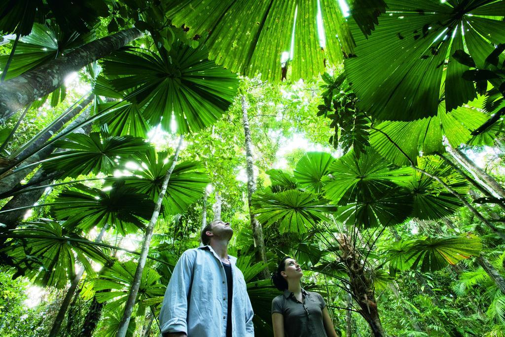 Black Palm Cape Tribulation Exteriör bild